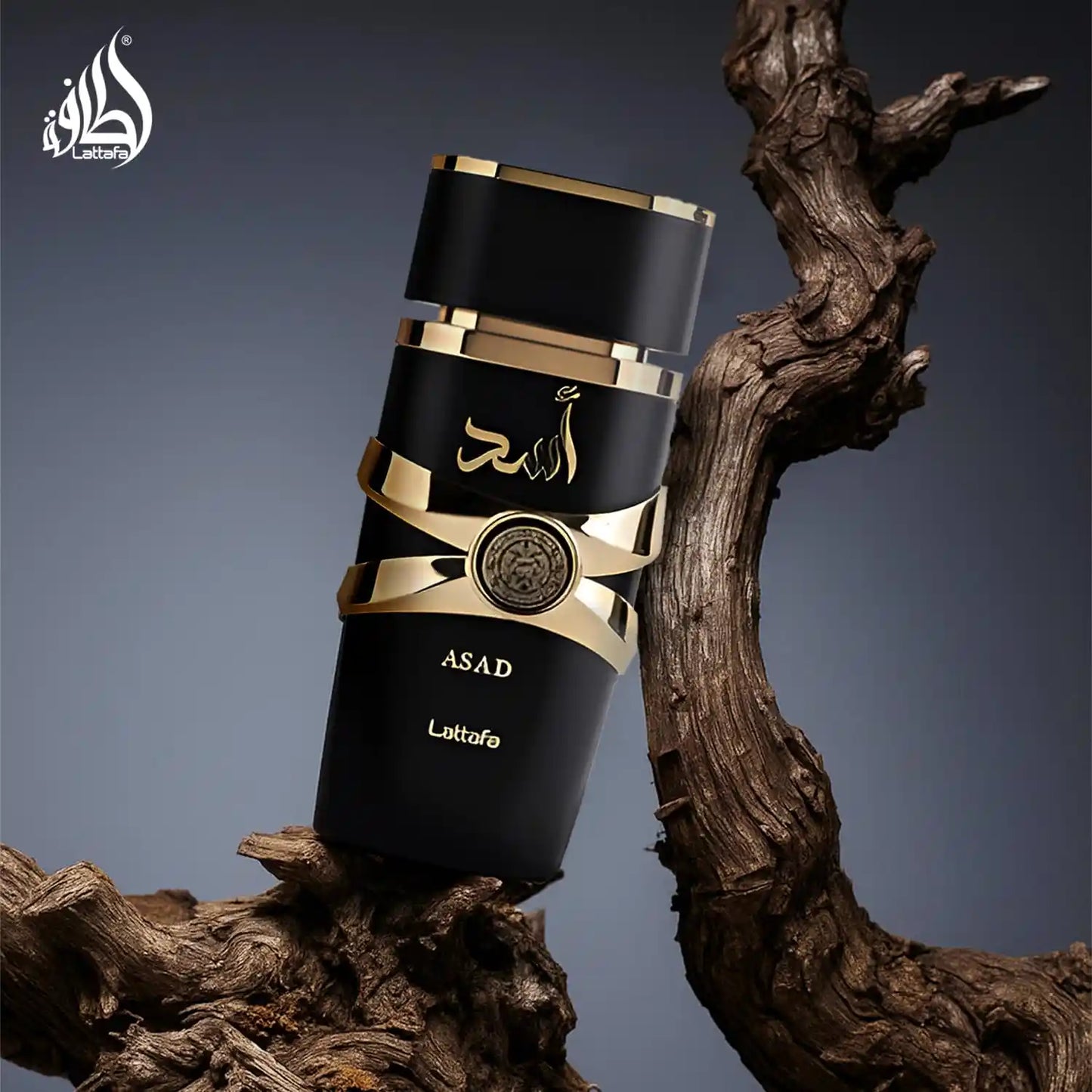 Asad Eau de Parfum 100ml Lattafa-Herren