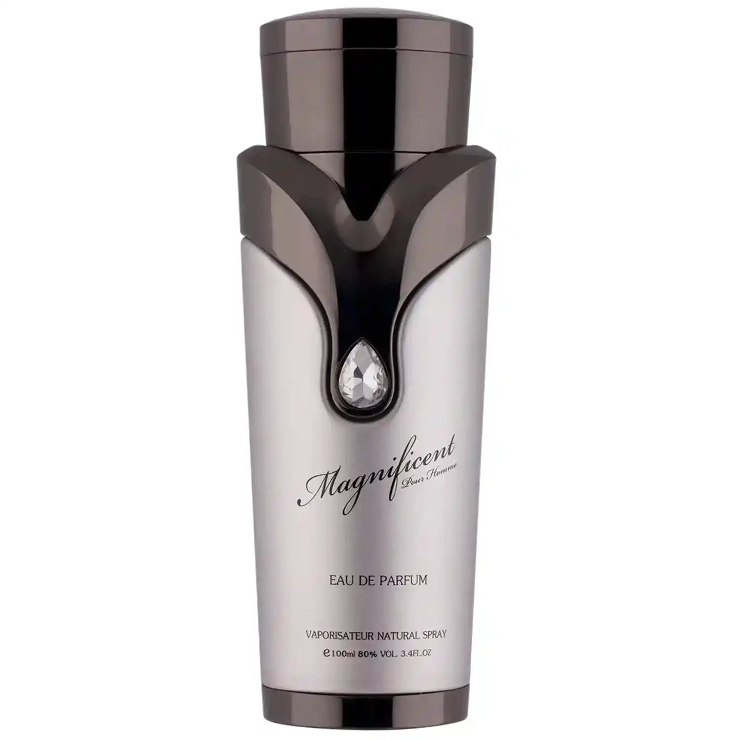 Magnificent Pour Homme Eau de Parfum 100ml ARMAF-Herren