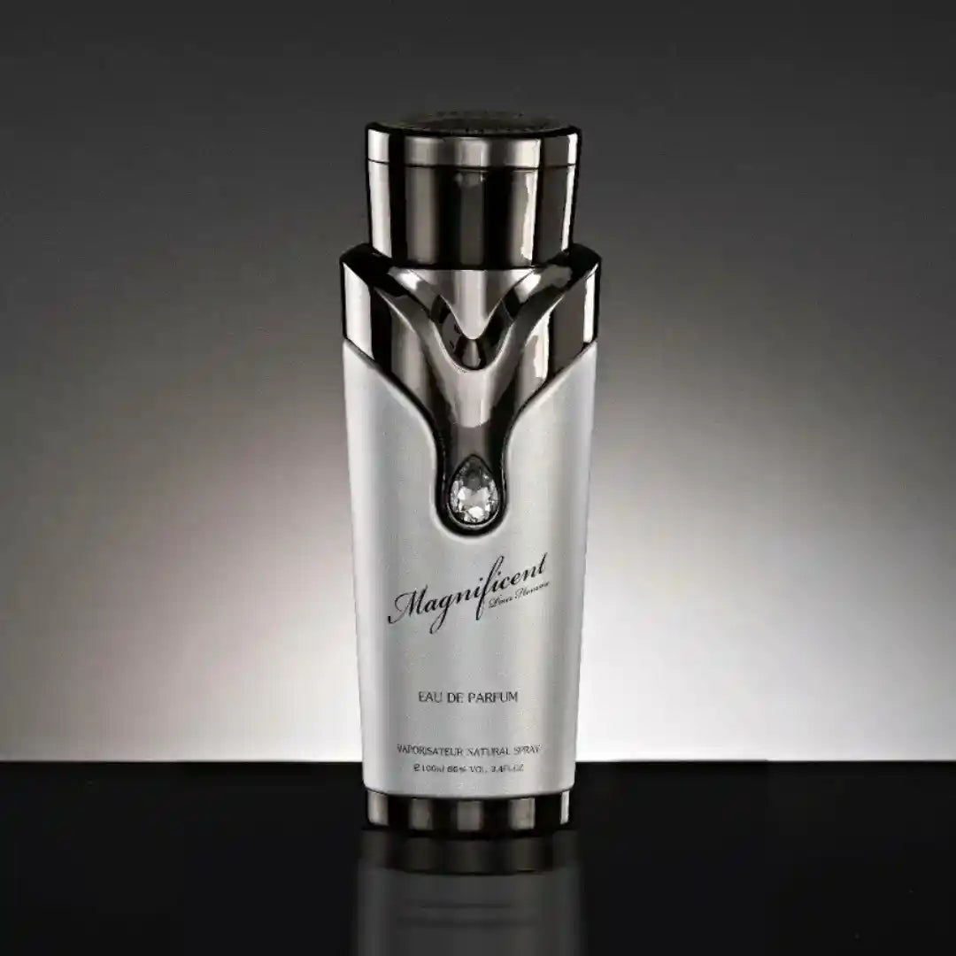 Magnificent Pour Homme Eau de Parfum 100ml ARMAF-Herren